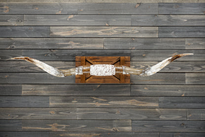 6' 0" Longhorn Wall Mount #294