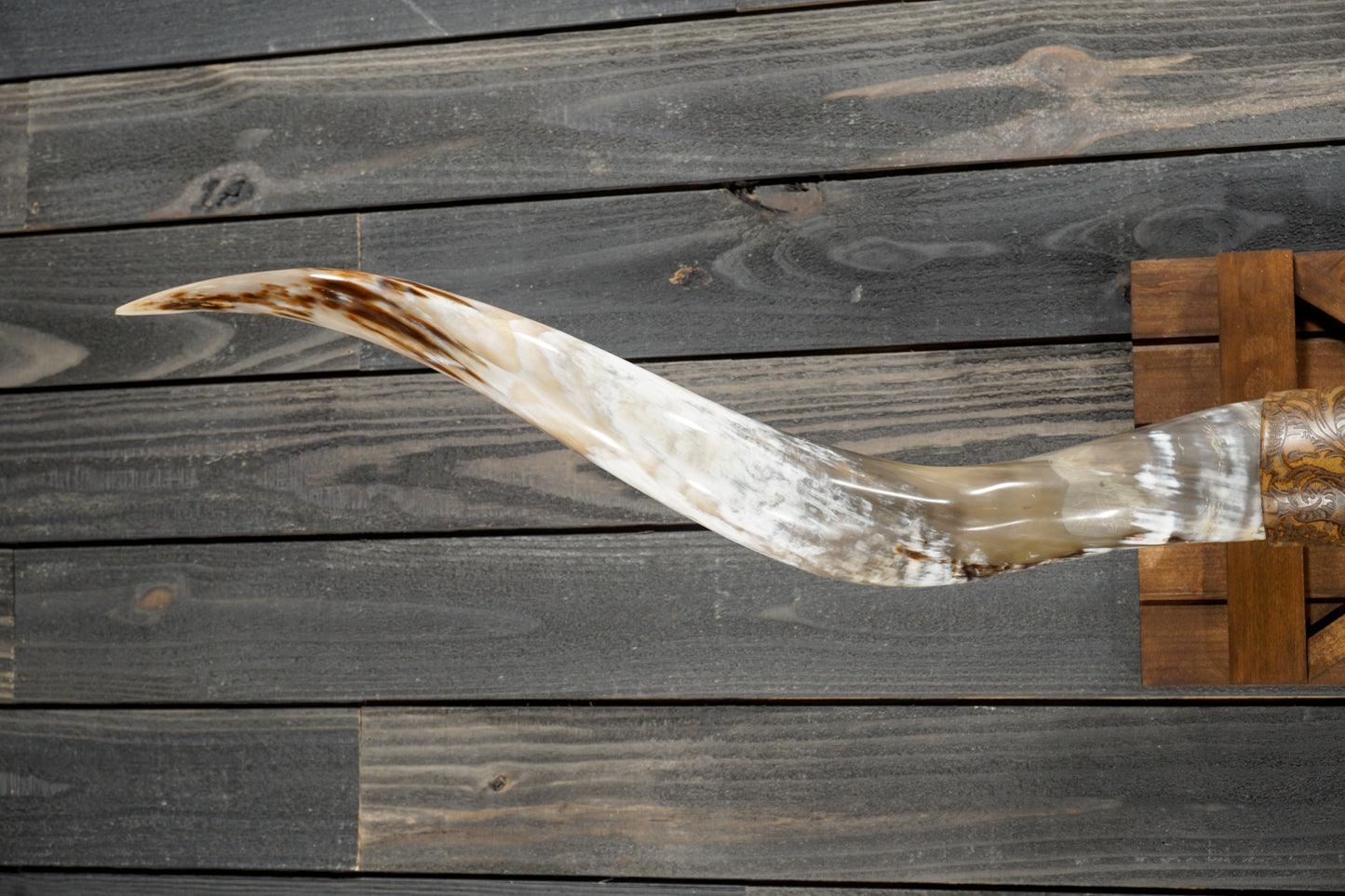 6' 0" Longhorn Wall Mount #294