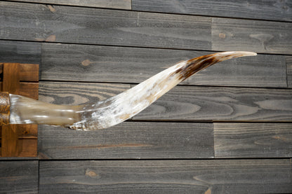 6' 0" Longhorn Wall Mount #294