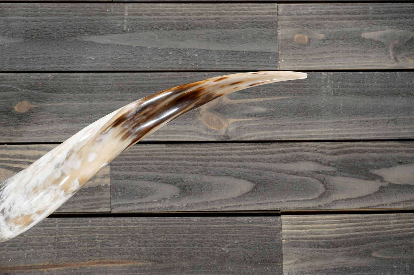 6' 0" Longhorn Wall Mount #294