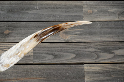 6' 0" Longhorn Wall Mount #294