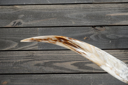 6' 0" Longhorn Wall Mount #294