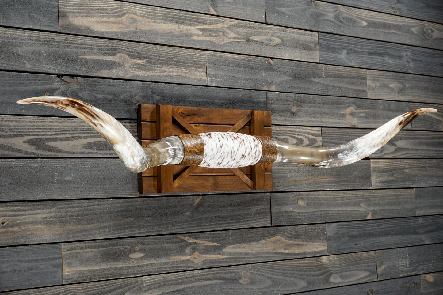 6' 0" Longhorn Wall Mount #294