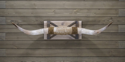 4' 9" Longhorn Wall Mount #247