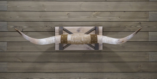 4' 9" Longhorn Wall Mount #247