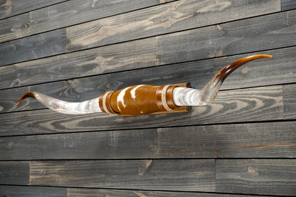 4' 10" Longhorn Wall Mount #278