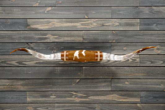 4' 10" Longhorn Wall Mount #278