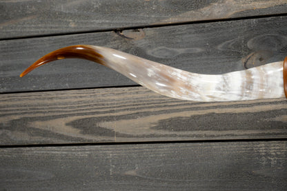 4' 10" Longhorn Wall Mount #278