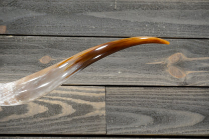 4' 10" Longhorn Wall Mount #278