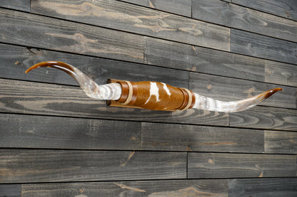 4' 10" Longhorn Wall Mount #278