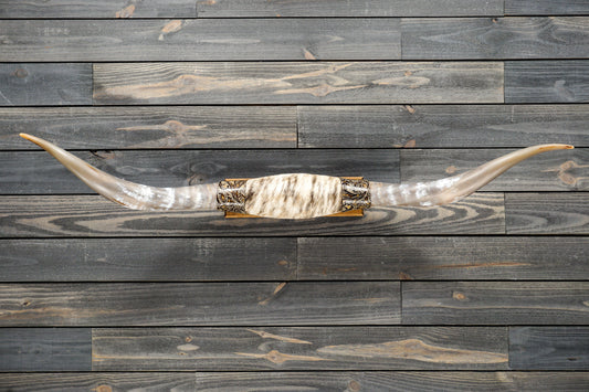 5' 0" Longhorn Wall Mount #284