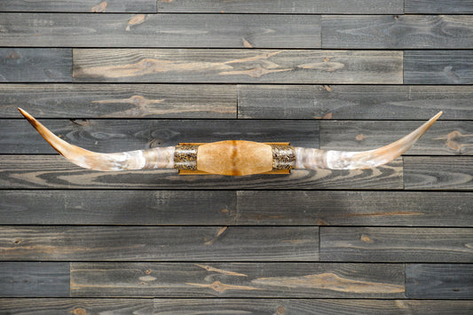 4' 7" Longhorn Wall Mount #290