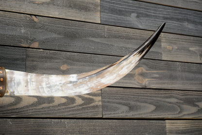 4' 8" Longhorn Wall Mount #291