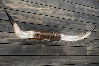 4' 8" Longhorn Wall Mount #291