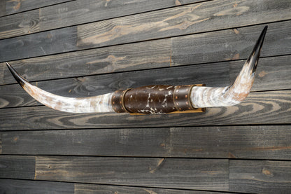 4' 8" Longhorn Wall Mount #291
