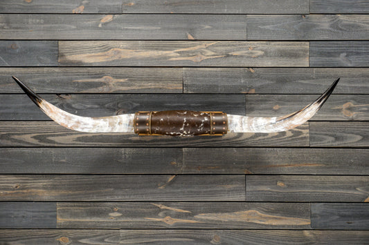 4' 8" Longhorn Wall Mount #291