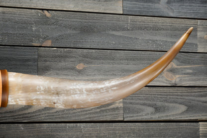 4' 8" Longhorn Wall Mount #295