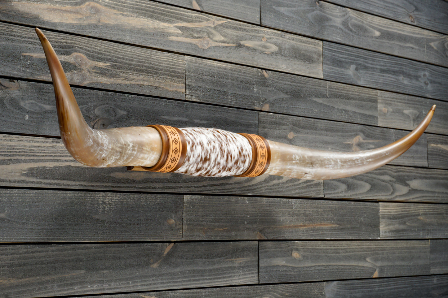 4' 8" Longhorn Wall Mount #295