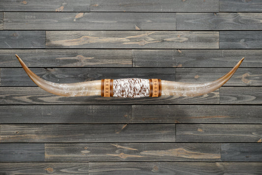 4' 8" Longhorn Wall Mount #295