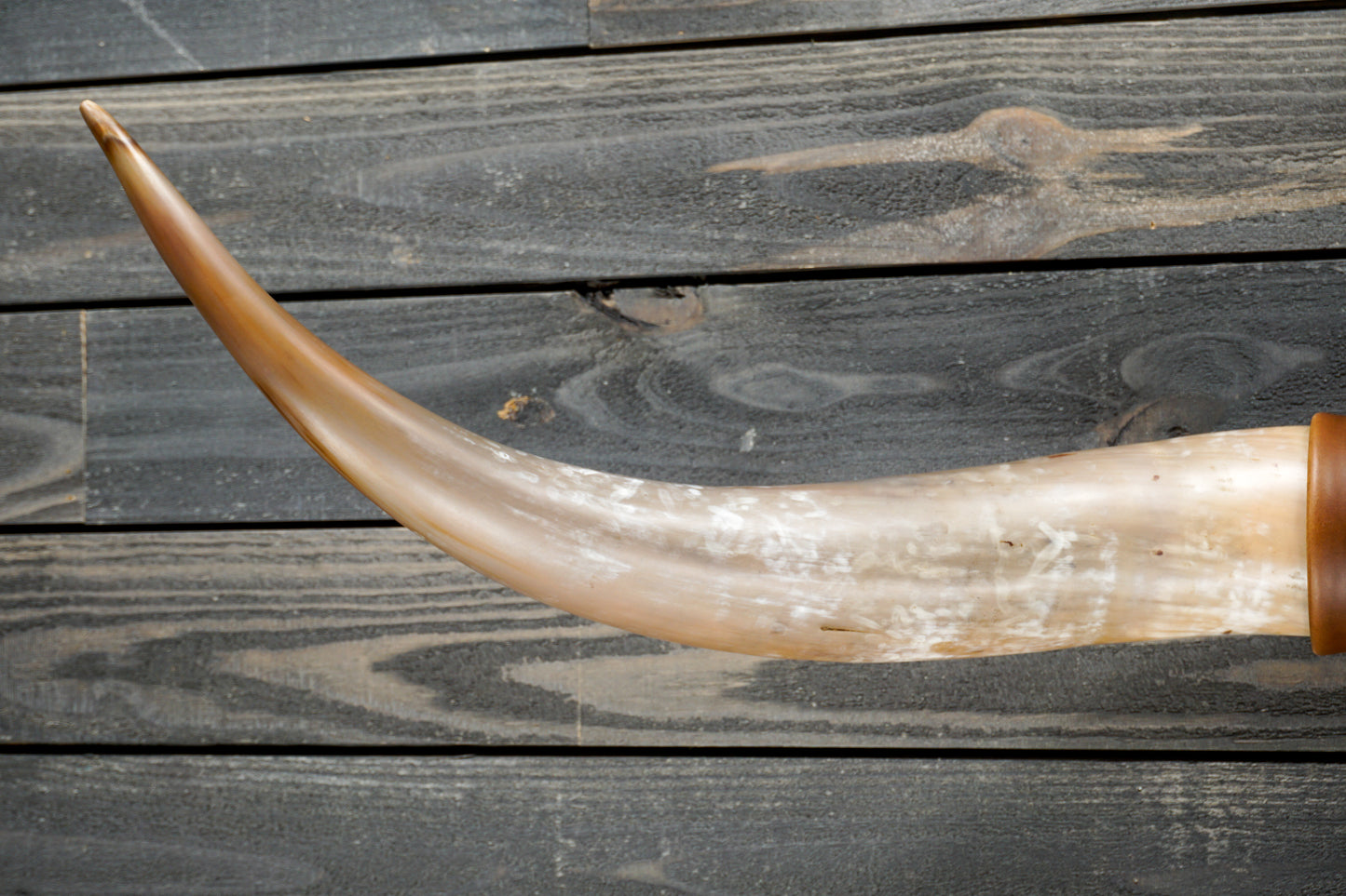 4' 8" Longhorn Wall Mount #295