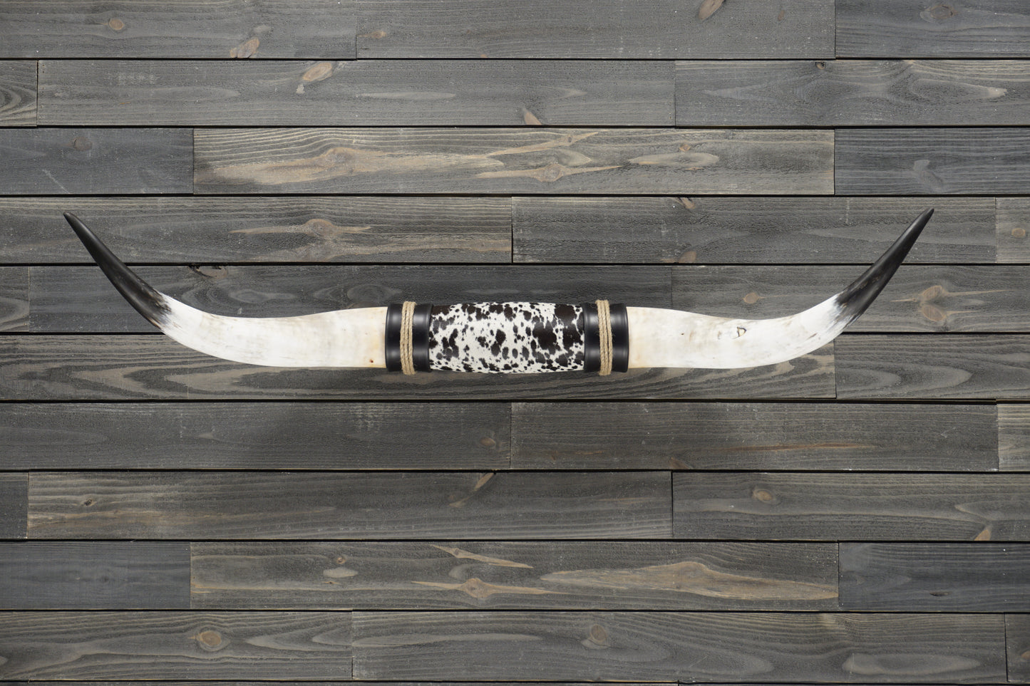 4' 10" Longhorn Wall Mount #298