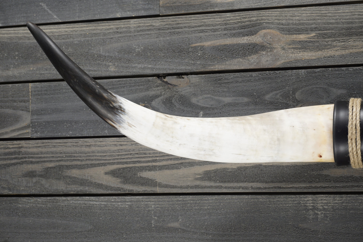 4' 10" Longhorn Wall Mount #298