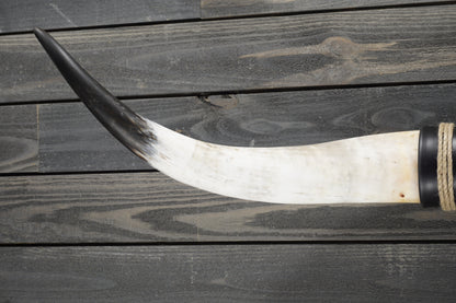 4' 10" Longhorn Wall Mount #298