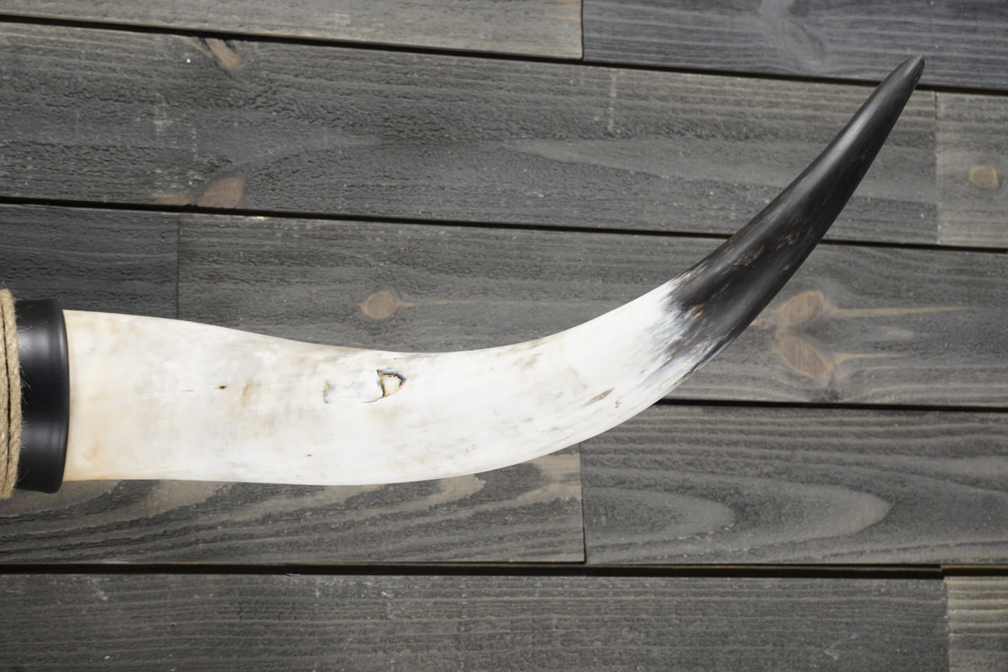 4' 10" Longhorn Wall Mount #298