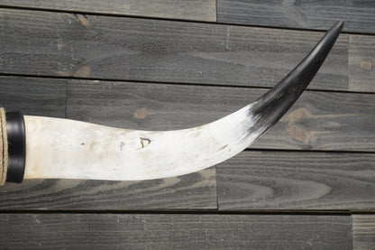 4' 10" Longhorn Wall Mount #298
