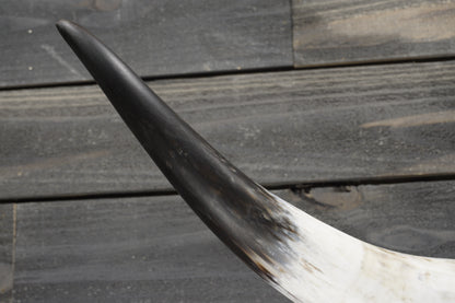 4' 10" Longhorn Wall Mount #298