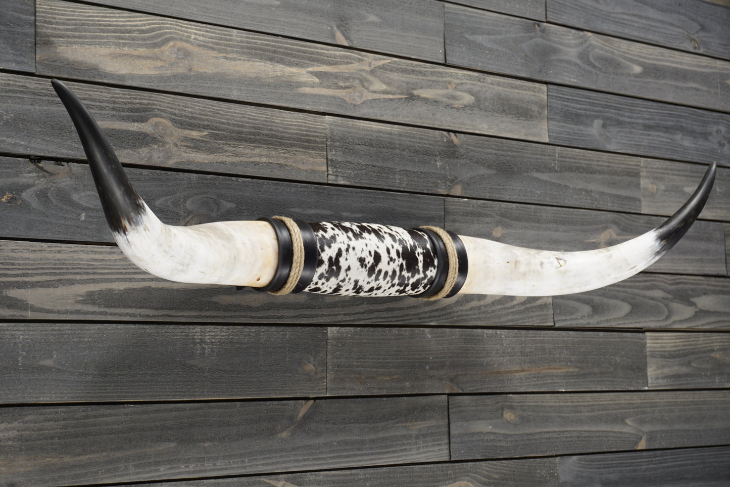 4' 10" Longhorn Wall Mount #298