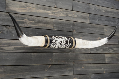 4' 10" Longhorn Wall Mount #298