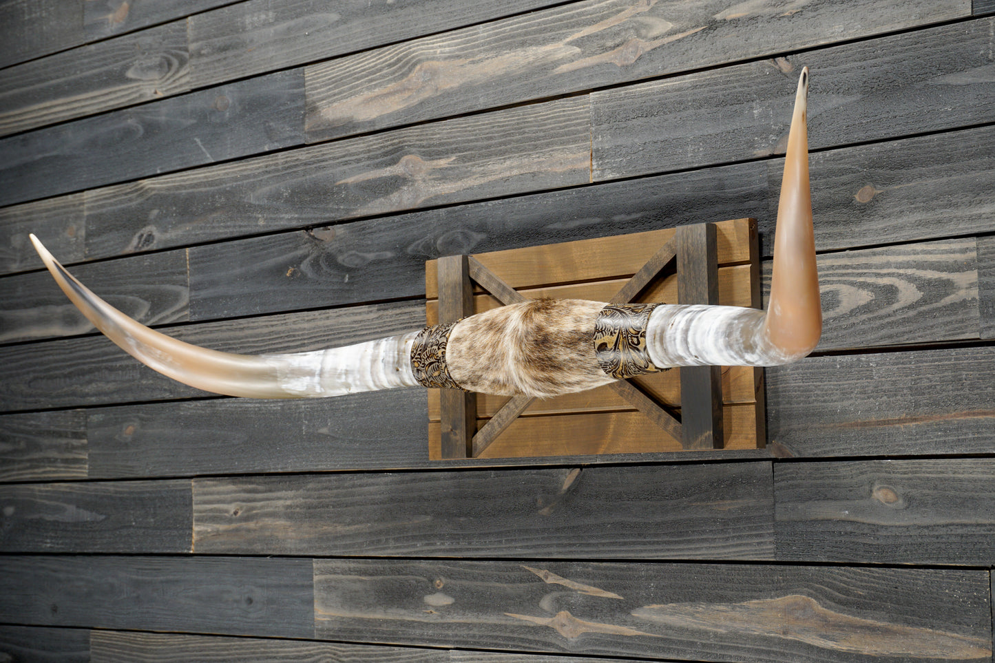 5' 1" Longhorn Wall Mount #305