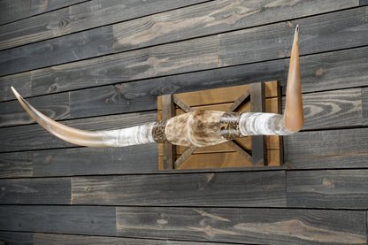 5' 1" Longhorn Wall Mount #305
