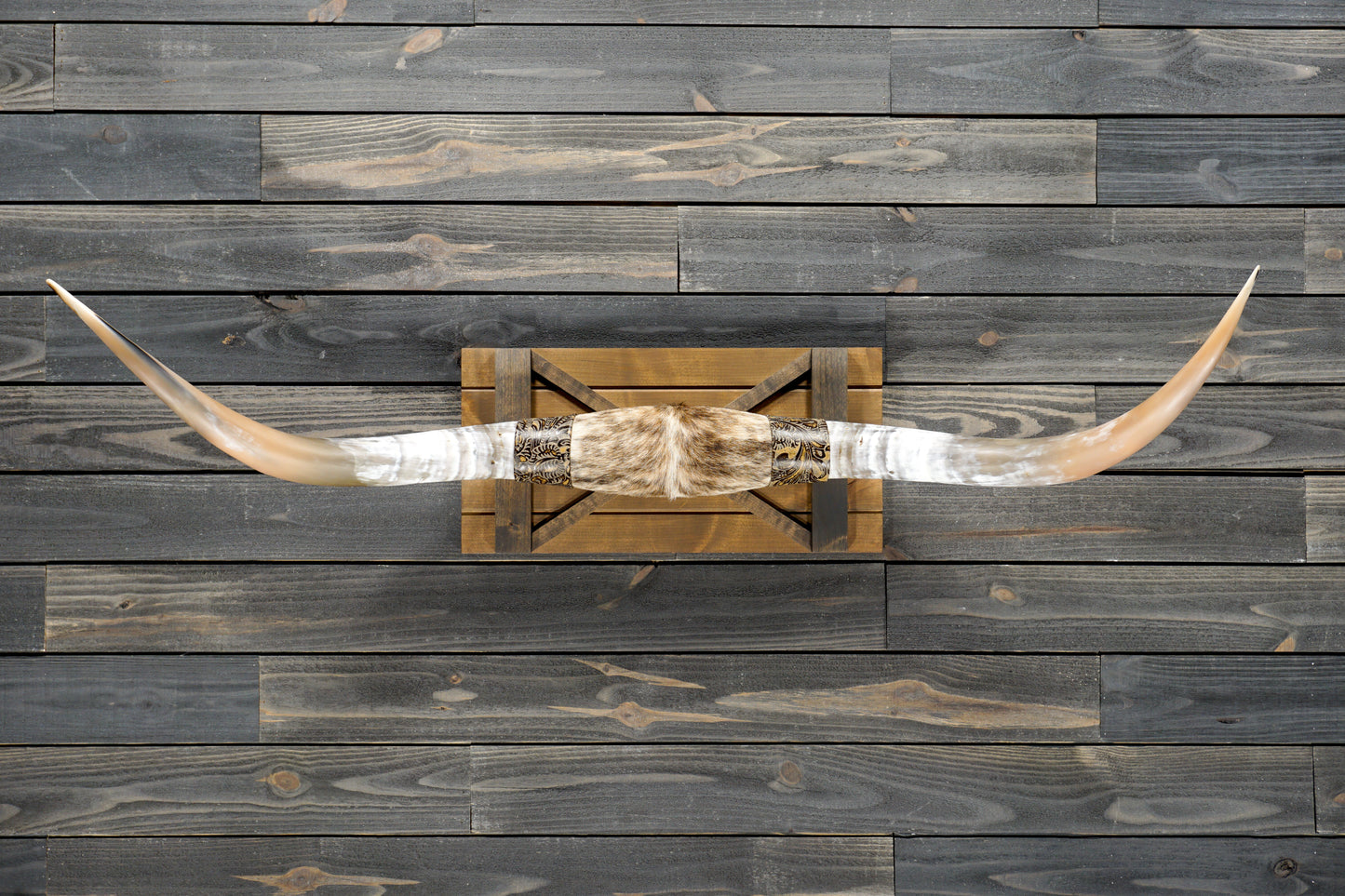 5' 1" Longhorn Wall Mount #305