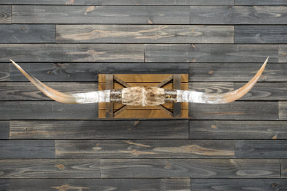 5' 1" Longhorn Wall Mount #305