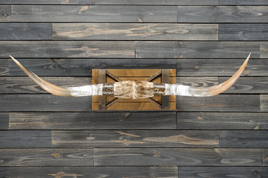 5' 1" Longhorn Wall Mount #305