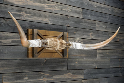 5' 1" Longhorn Wall Mount #305
