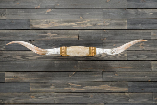 5' 5" Longhorn Wall Mount #307
