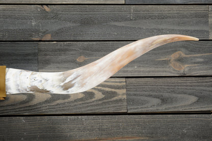 5' 5" Longhorn Wall Mount #307