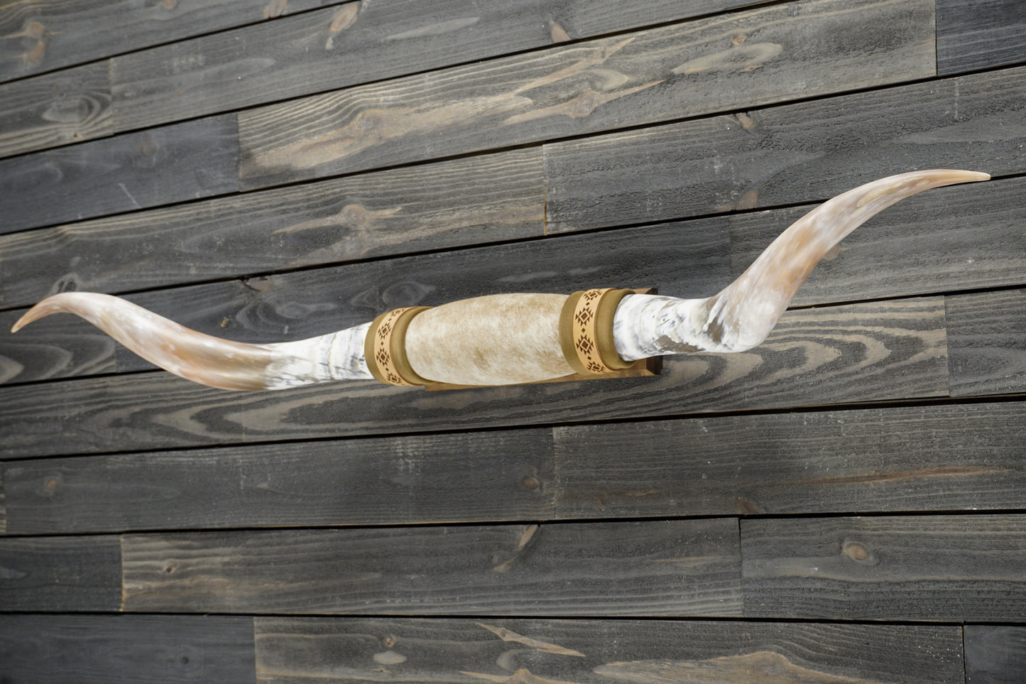 5' 5" Longhorn Wall Mount #307