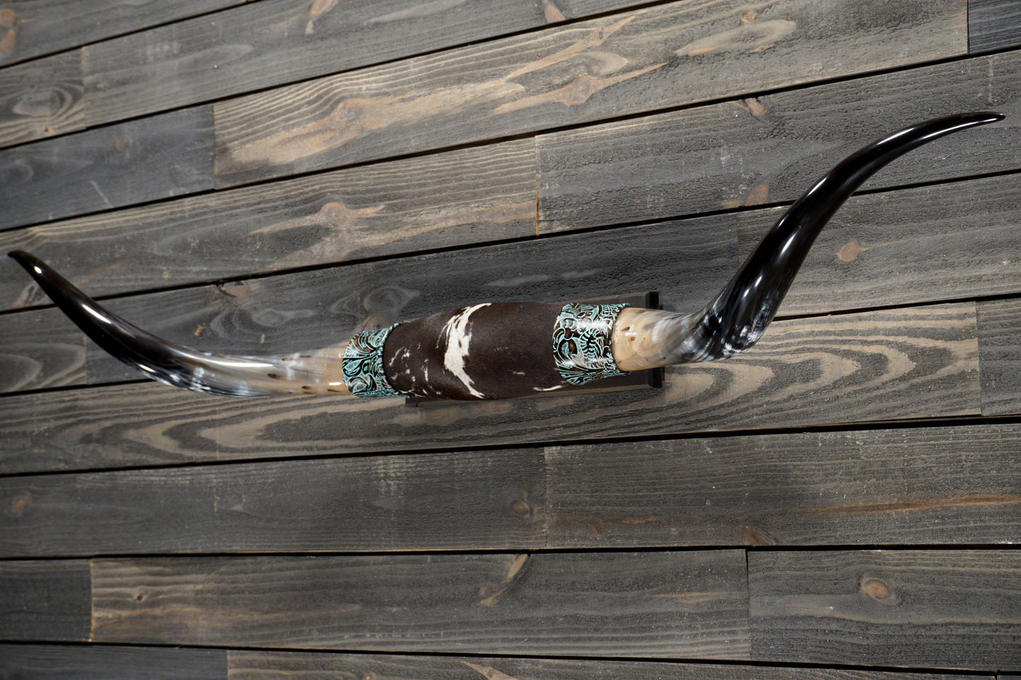 5' 1" Longhorn Wall Mount #311