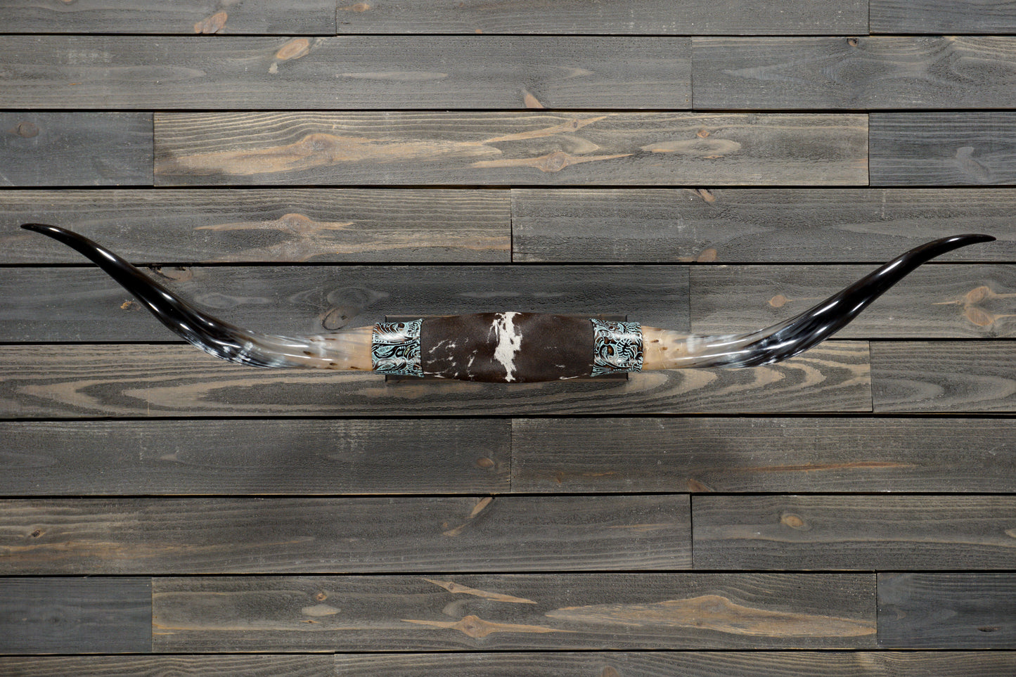 5' 1" Longhorn Wall Mount #311