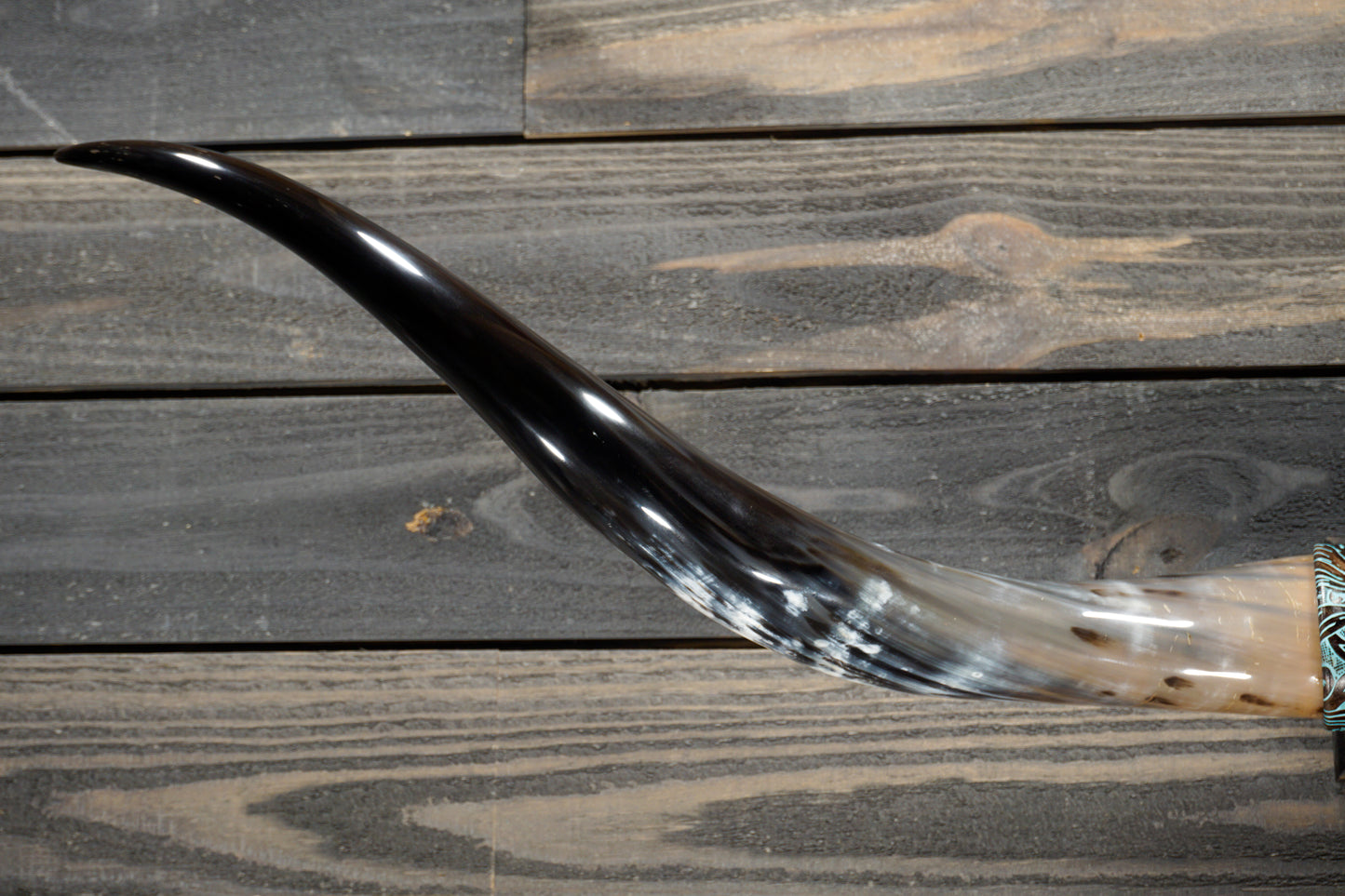 5' 1" Longhorn Wall Mount #311