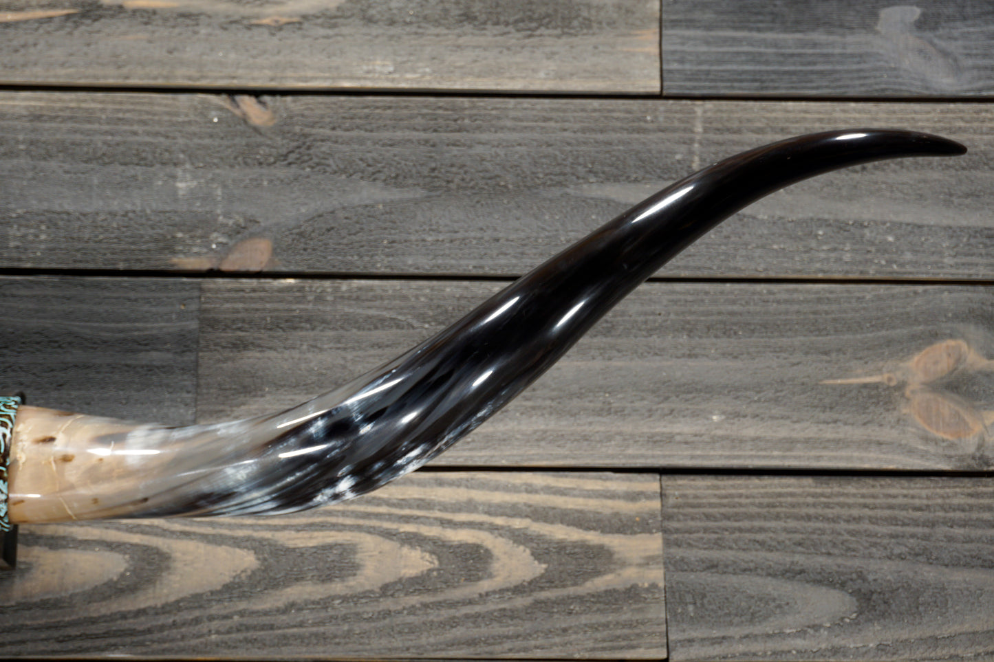 5' 1" Longhorn Wall Mount #311