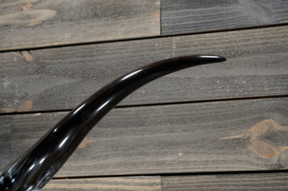 5' 1" Longhorn Wall Mount #311