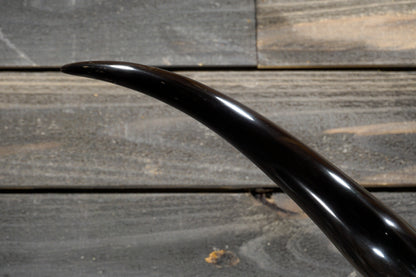 5' 1" Longhorn Wall Mount #311