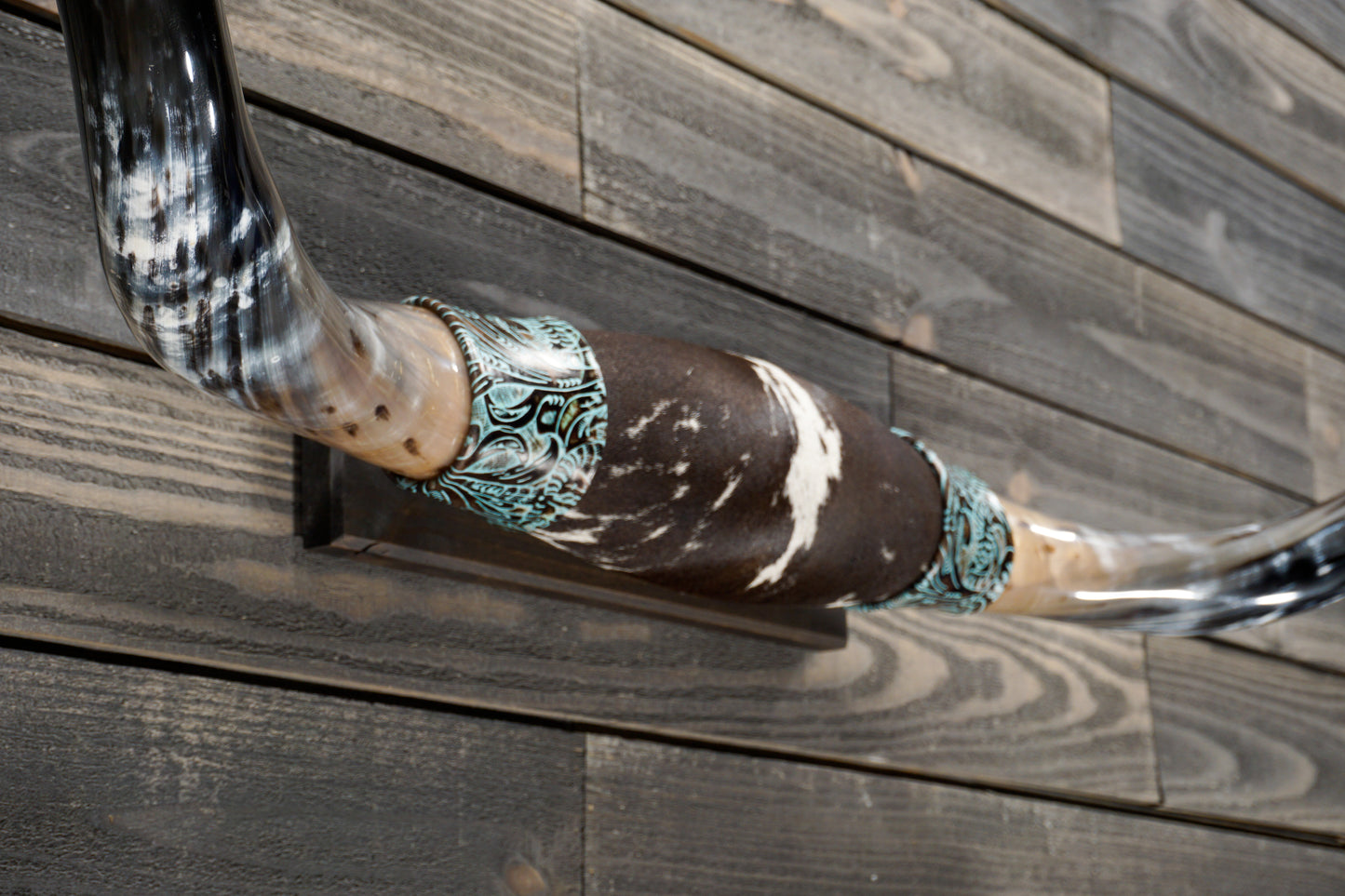 5' 1" Longhorn Wall Mount #311