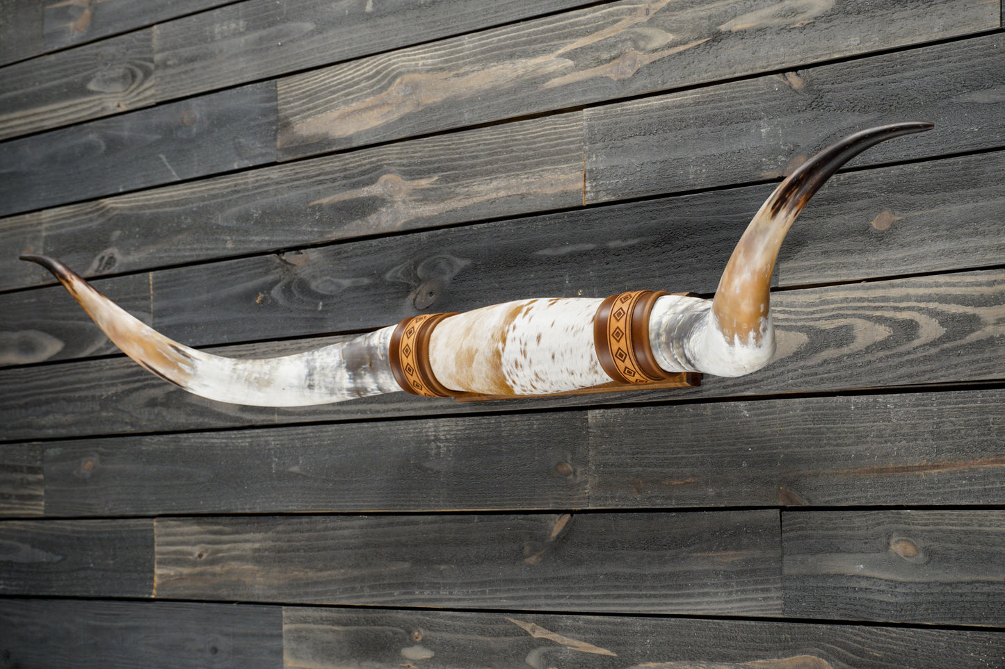 4' 11" Longhorn Wall Mount #314