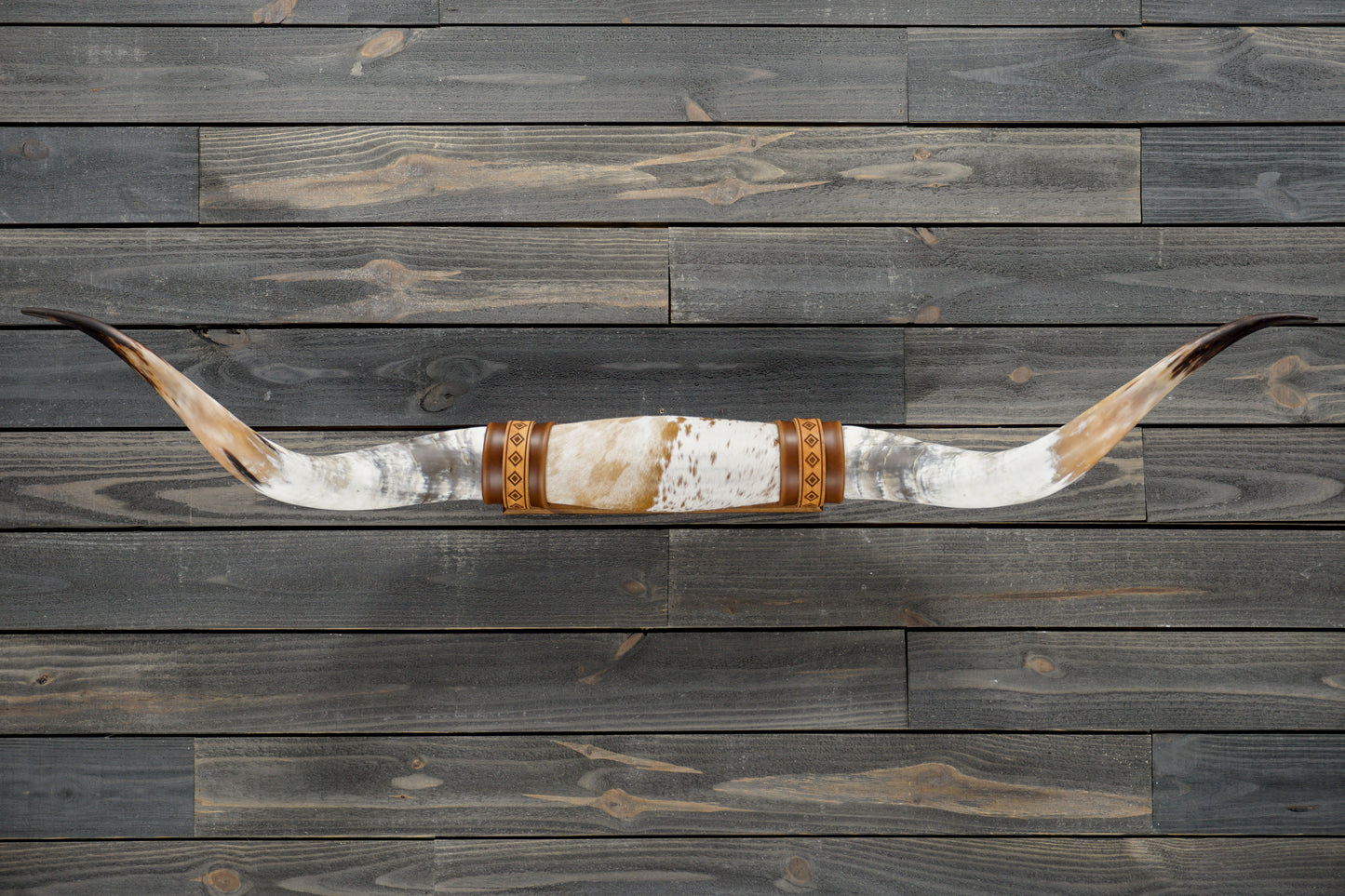 4' 11" Longhorn Wall Mount #314
